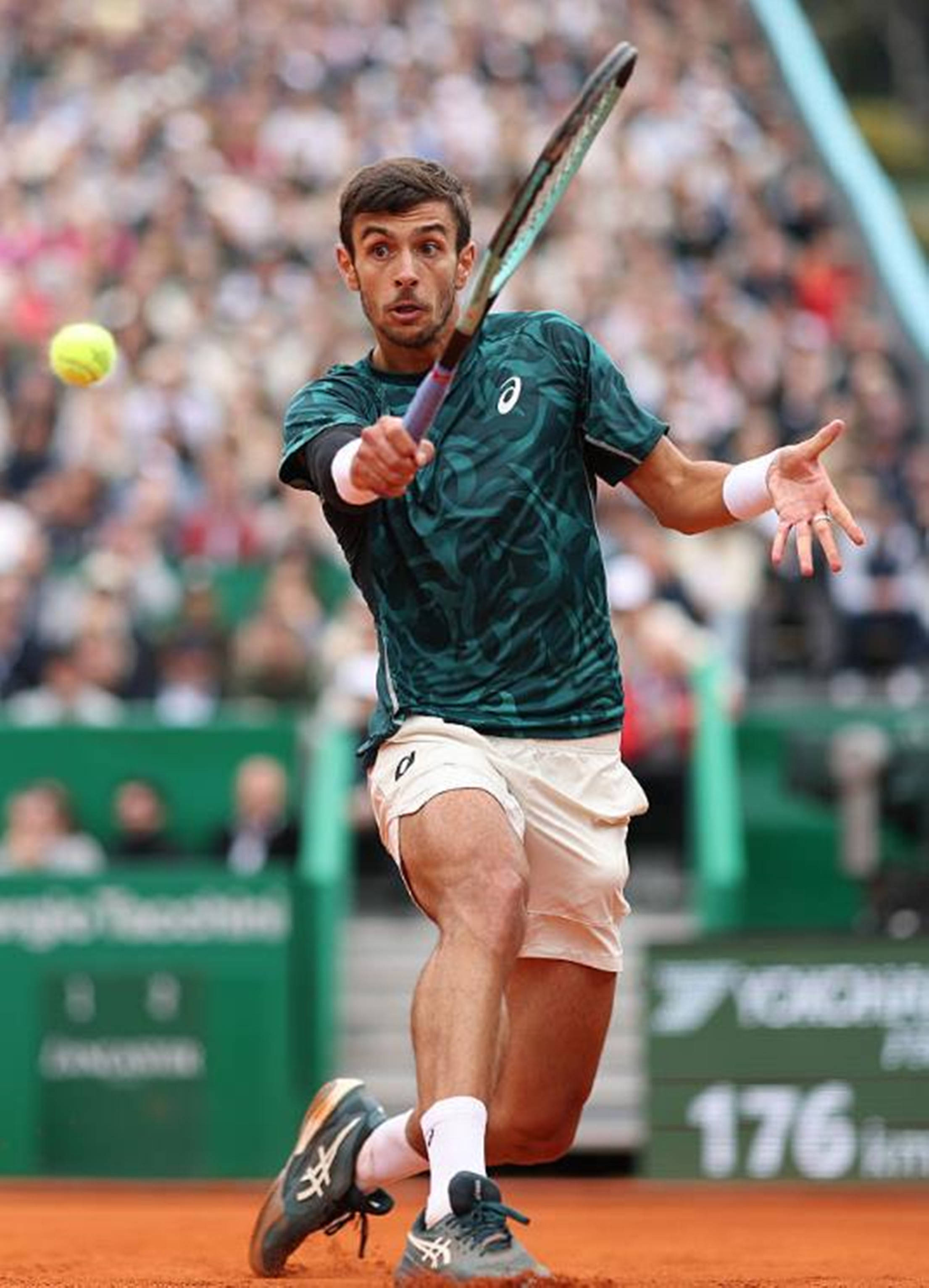 的拼搏精神 的拼搏精神