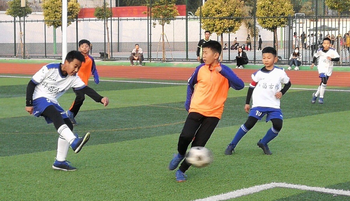 示了中国运 示了中国运