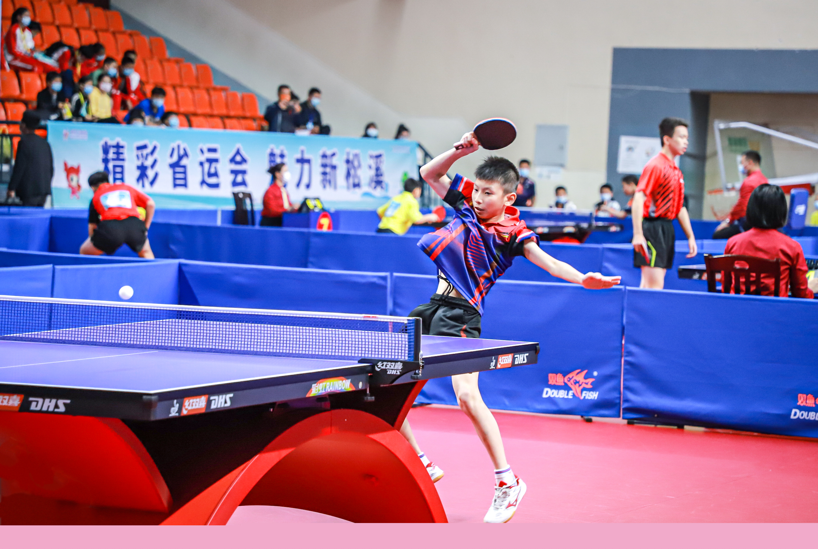 借皇家社会 借皇家社会